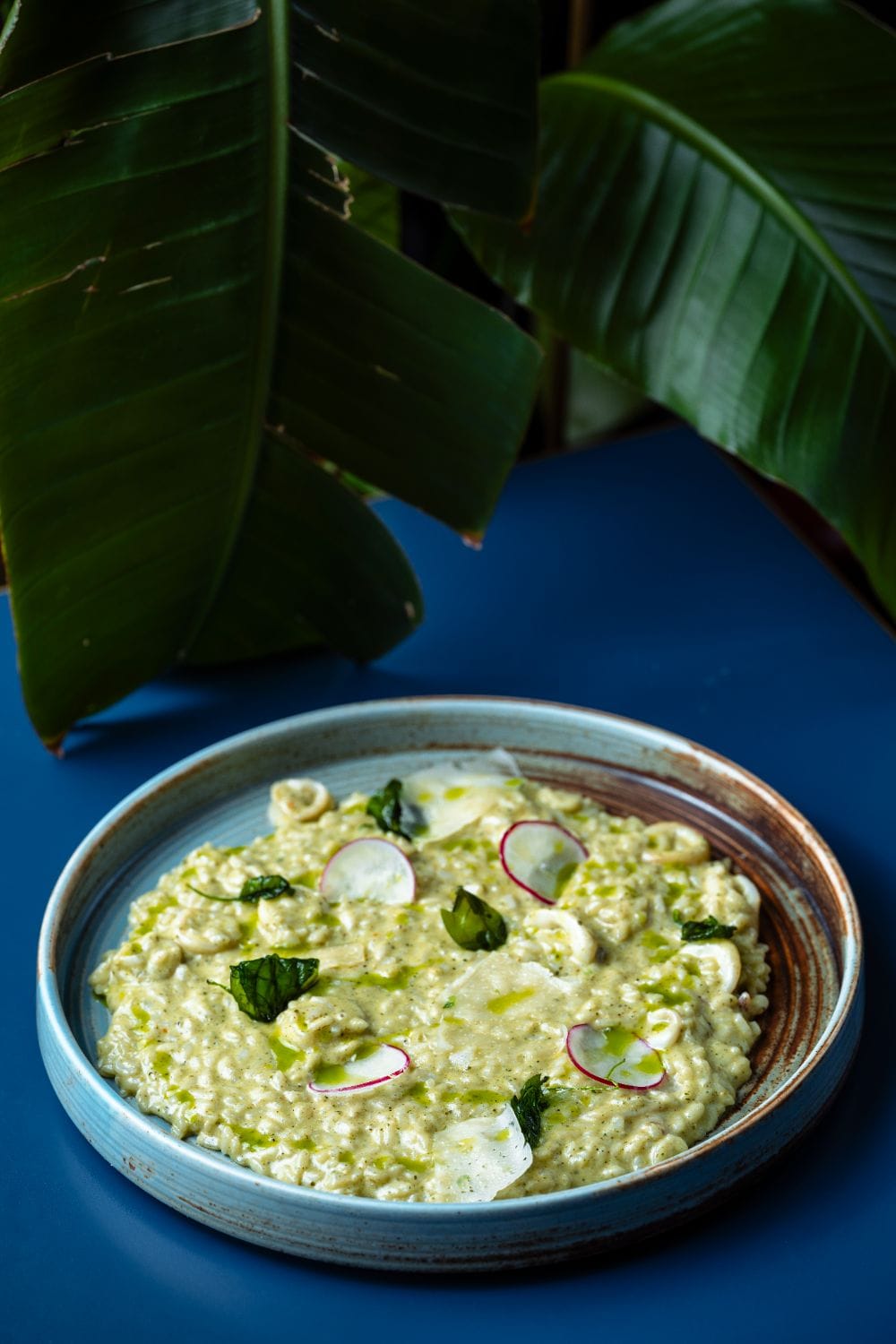 Risotto cu baby calamar