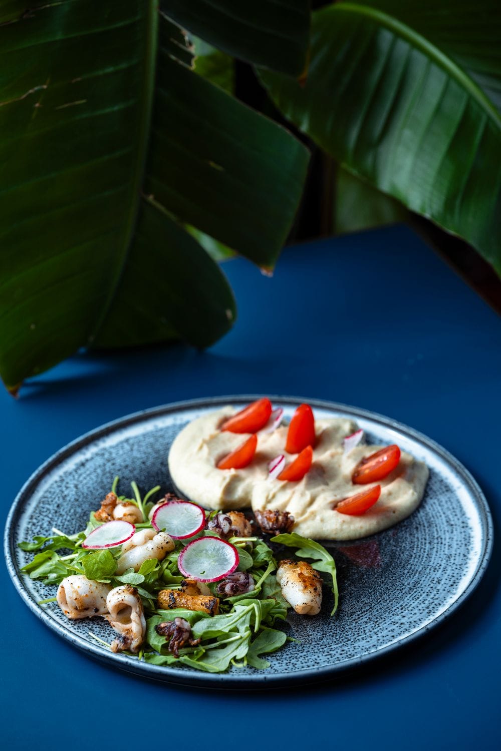Salata de vinete cu baby calamar