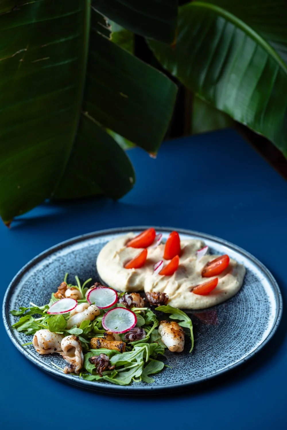 Salata de vinete cu baby calamar